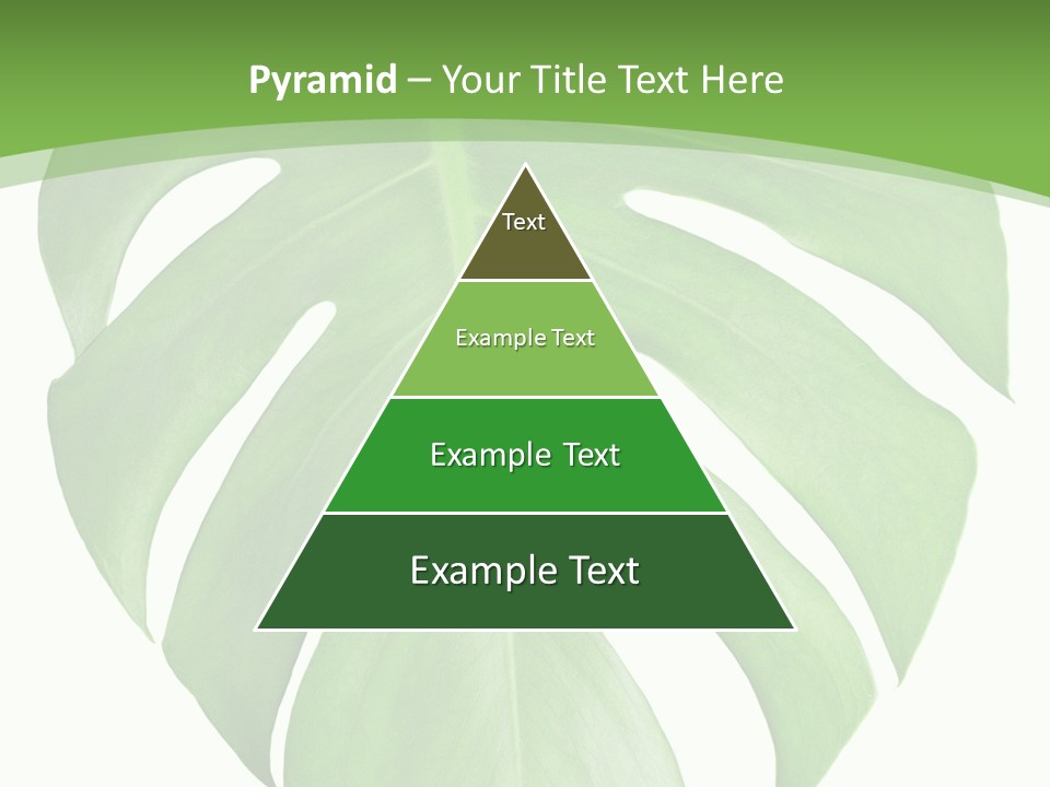 Spring Garden Nobody PowerPoint Template