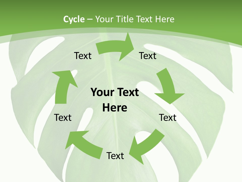 Spring Garden Nobody PowerPoint Template