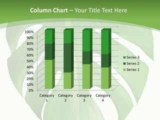 Spring Garden Nobody PowerPoint Template