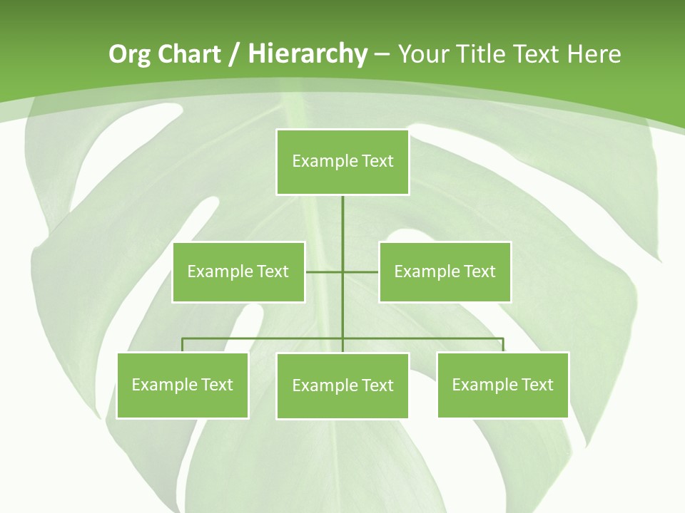 Spring Garden Nobody PowerPoint Template