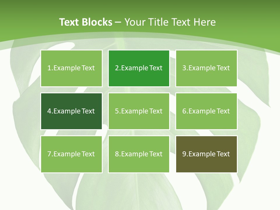 Spring Garden Nobody PowerPoint Template