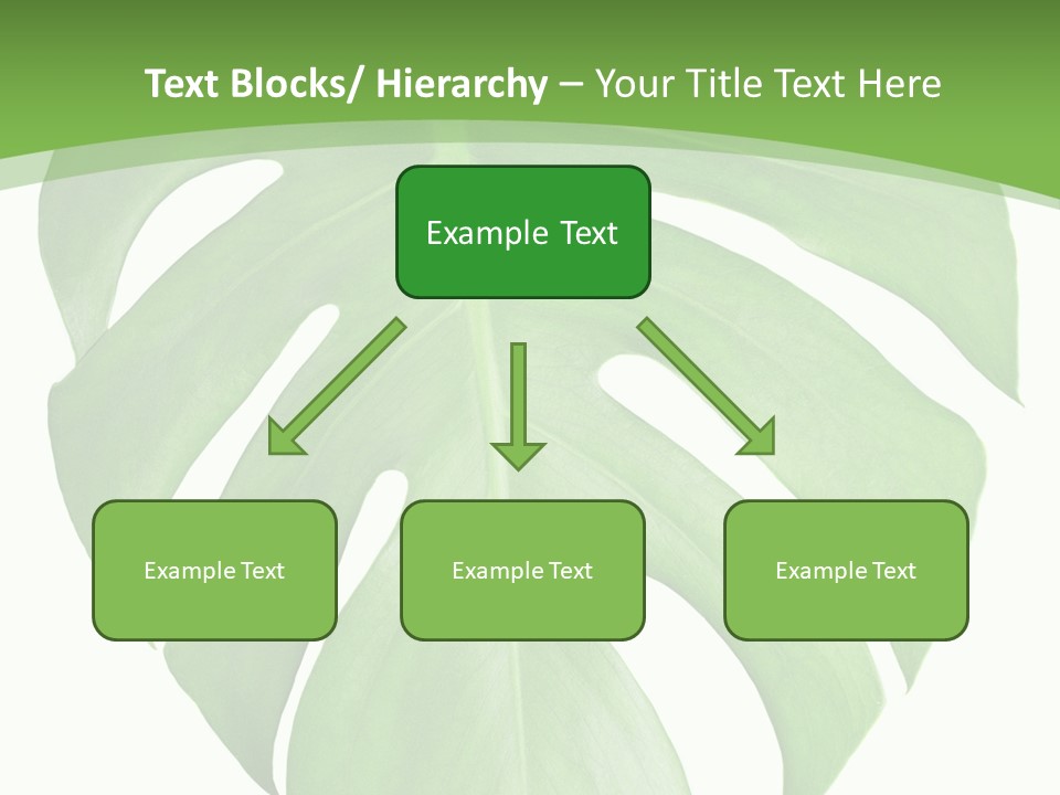 Spring Garden Nobody PowerPoint Template
