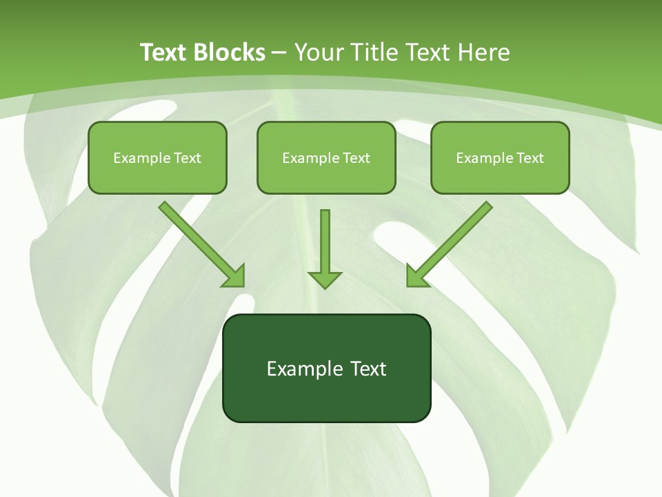 Spring Garden Nobody PowerPoint Template