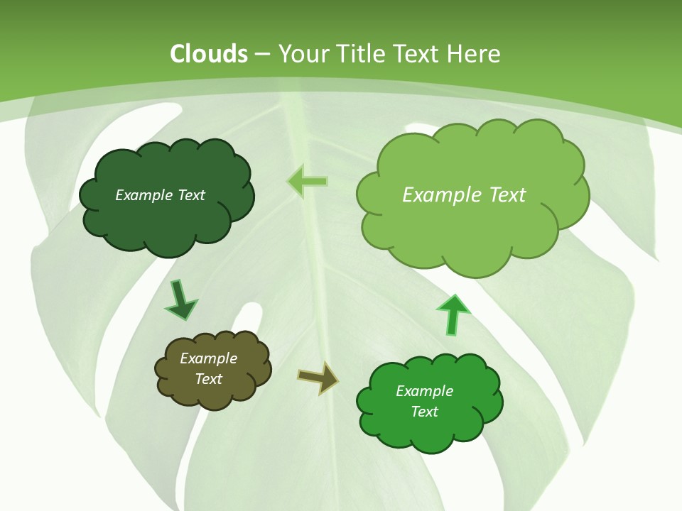 Spring Garden Nobody PowerPoint Template