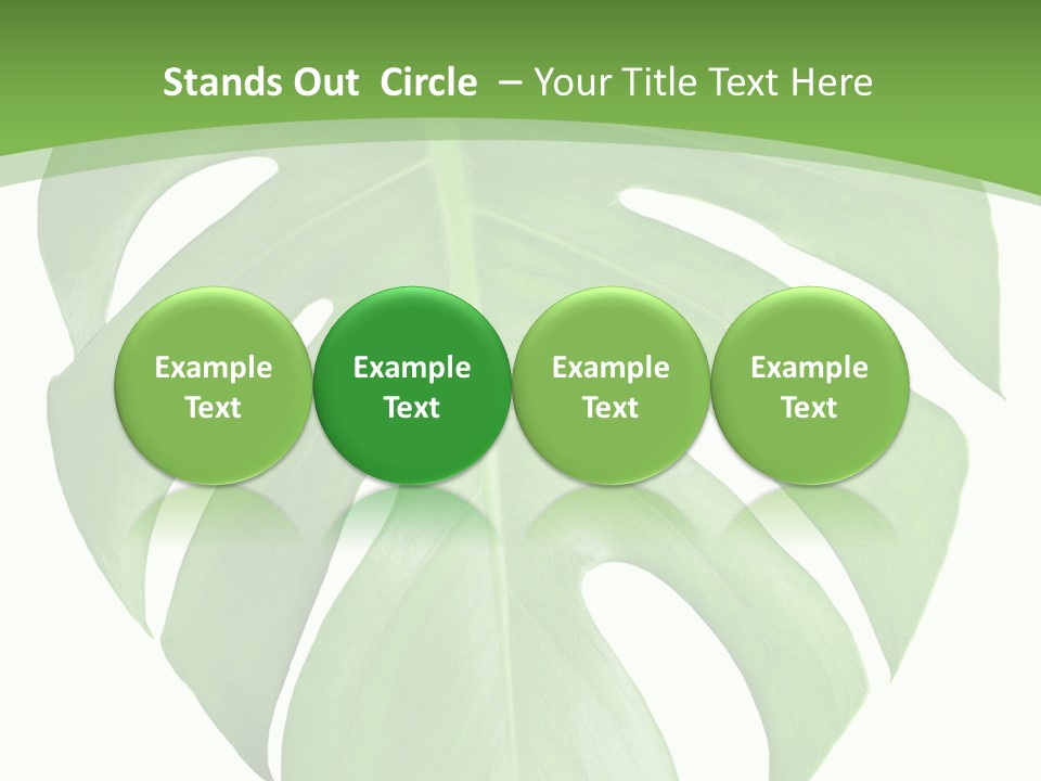 Spring Garden Nobody PowerPoint Template