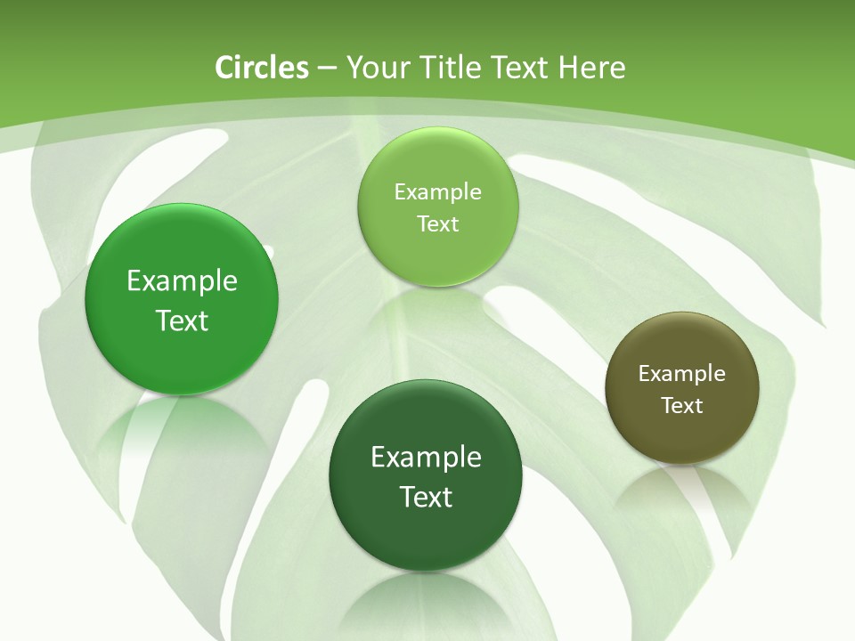 Spring Garden Nobody PowerPoint Template