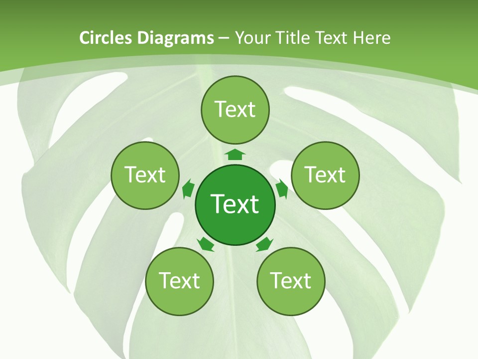 Spring Garden Nobody PowerPoint Template