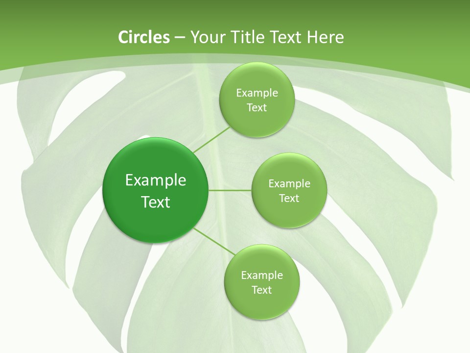 Spring Garden Nobody PowerPoint Template