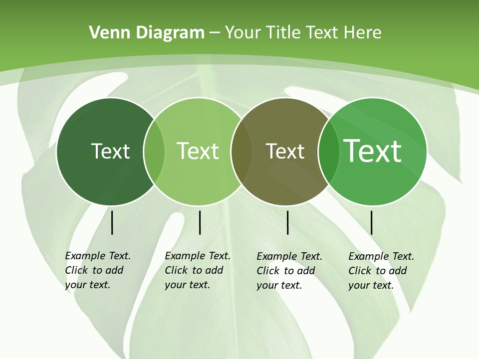 Spring Garden Nobody PowerPoint Template