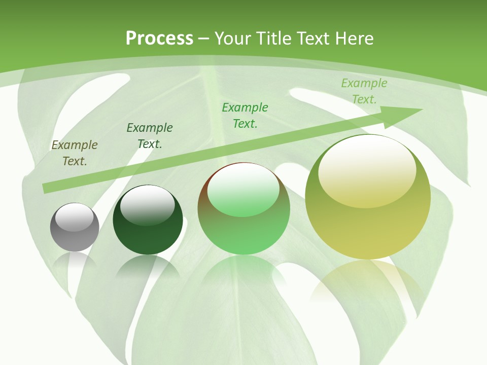 Spring Garden Nobody PowerPoint Template