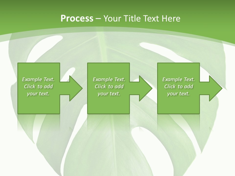 Spring Garden Nobody PowerPoint Template