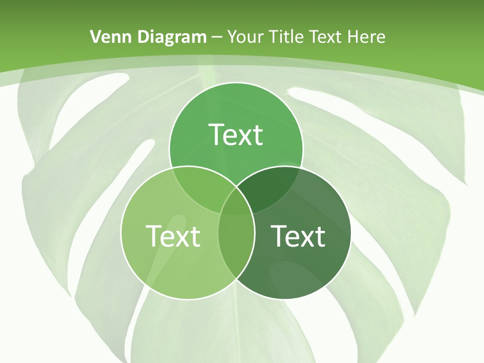 Spring Garden Nobody PowerPoint Template