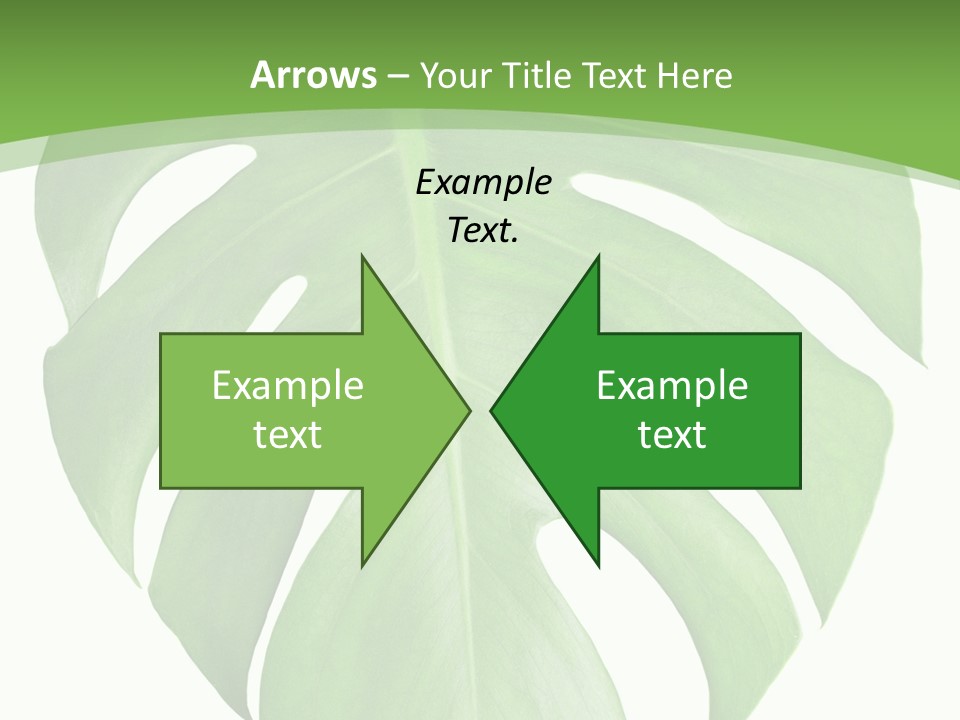 Spring Garden Nobody PowerPoint Template