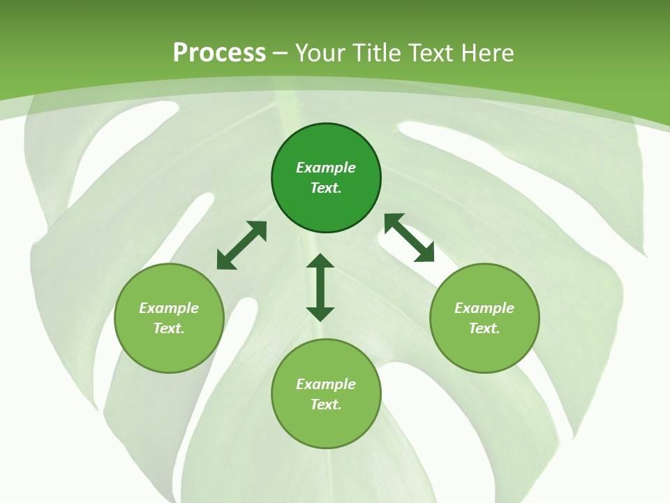 Spring Garden Nobody PowerPoint Template