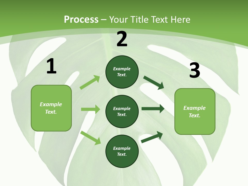 Spring Garden Nobody PowerPoint Template