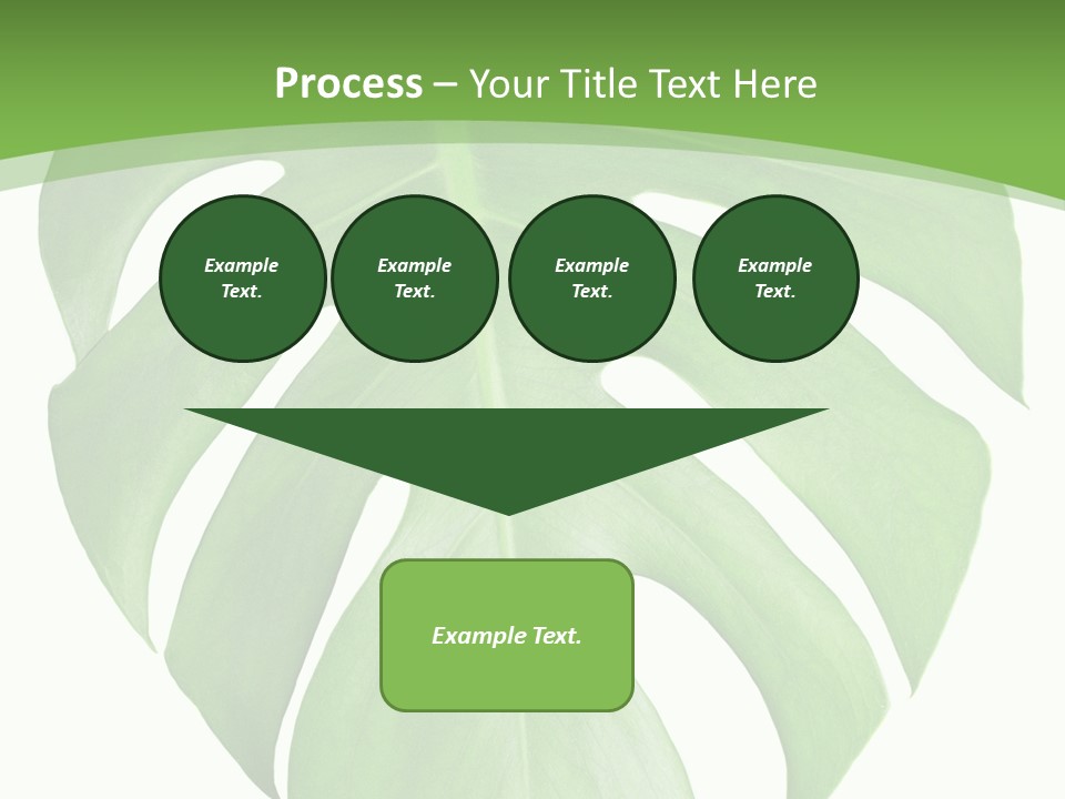 Spring Garden Nobody PowerPoint Template