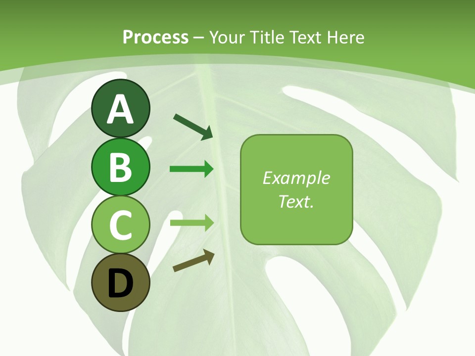 Spring Garden Nobody PowerPoint Template