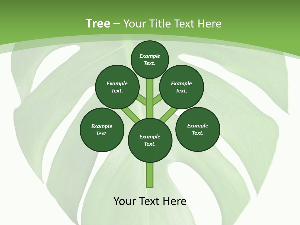 Spring Garden Nobody PowerPoint Template