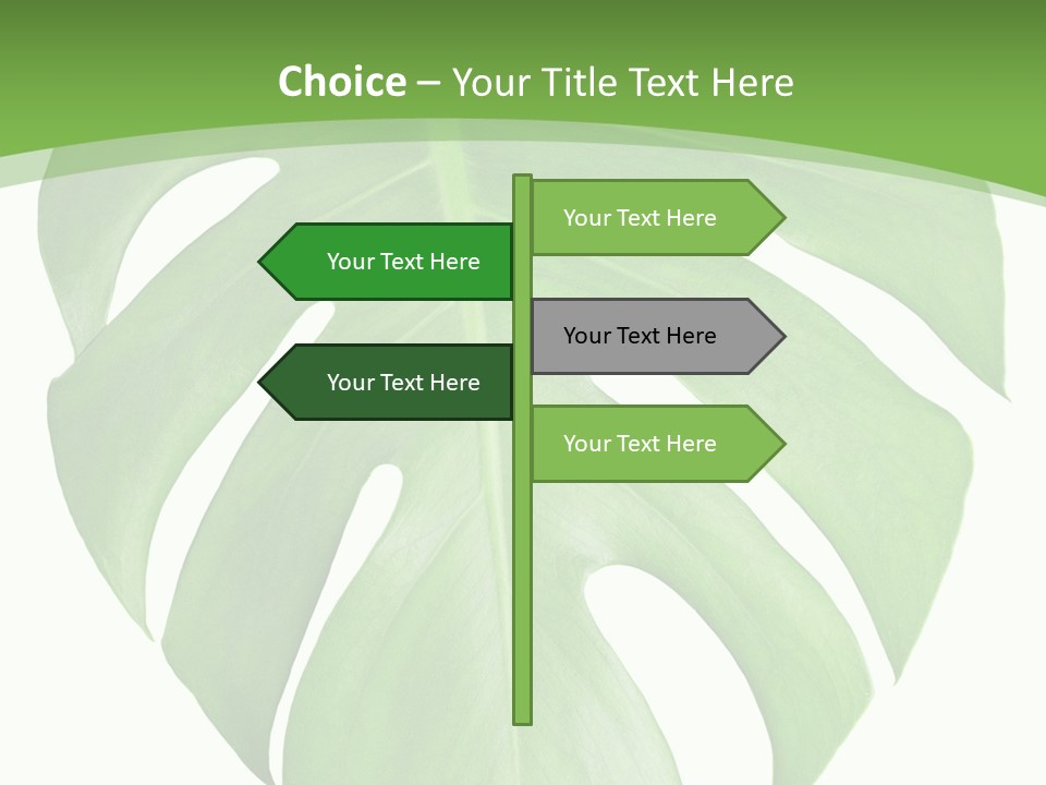 Spring Garden Nobody PowerPoint Template