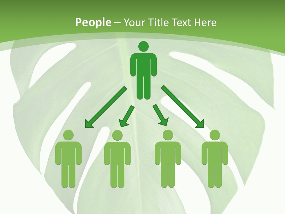 Spring Garden Nobody PowerPoint Template