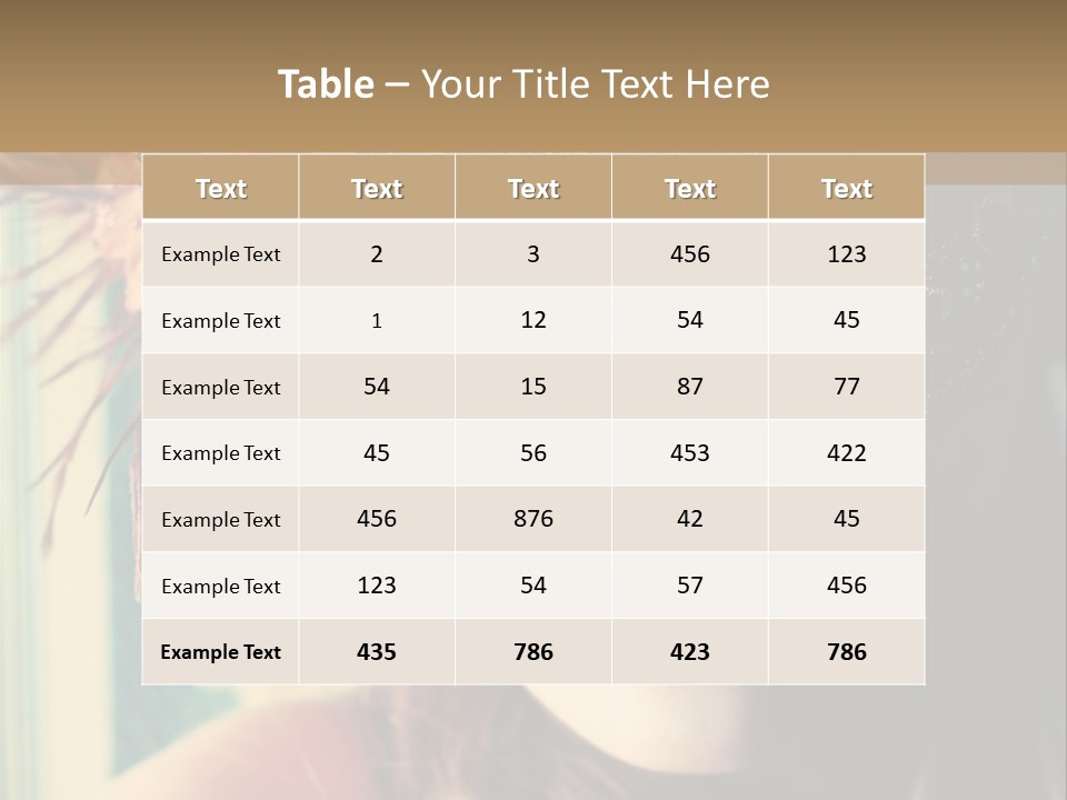 Styled Classic Indoor PowerPoint Template