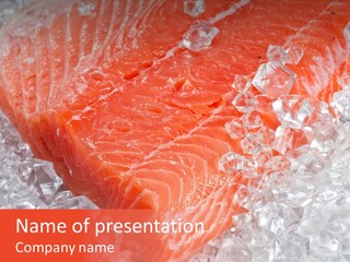 Part Freshwater Meal PowerPoint Template