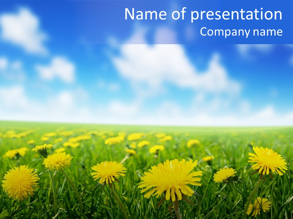 Landscape Yellow Plain PowerPoint Template