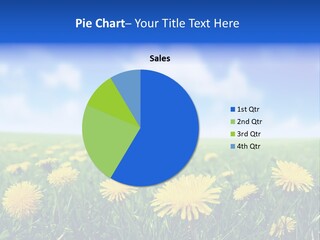 Landscape Yellow Plain PowerPoint Template