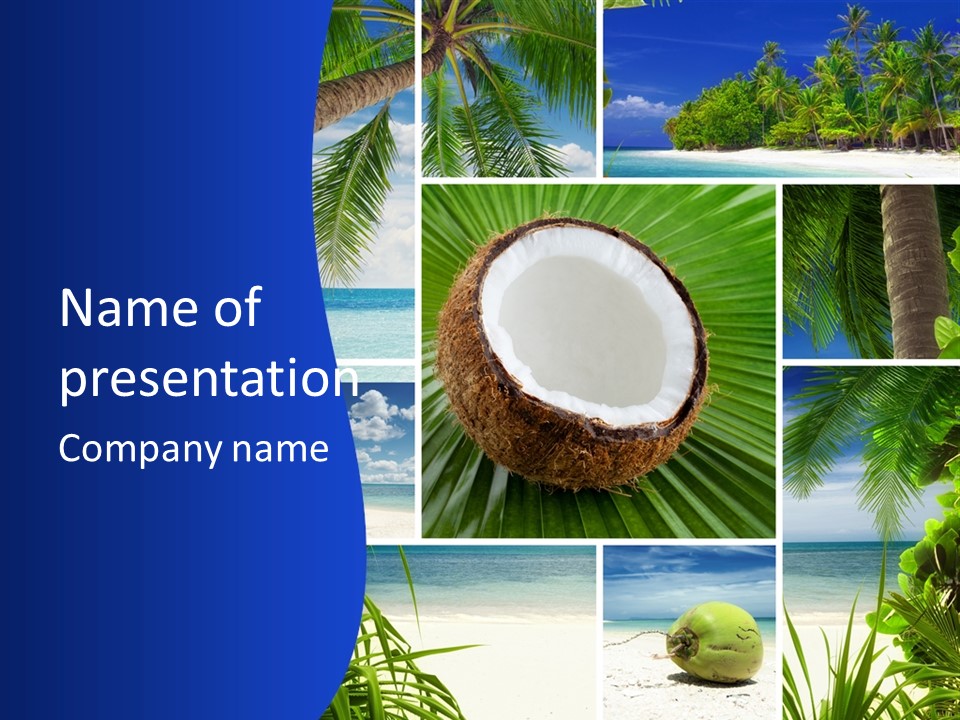 Relax Summer Maldives PowerPoint Template