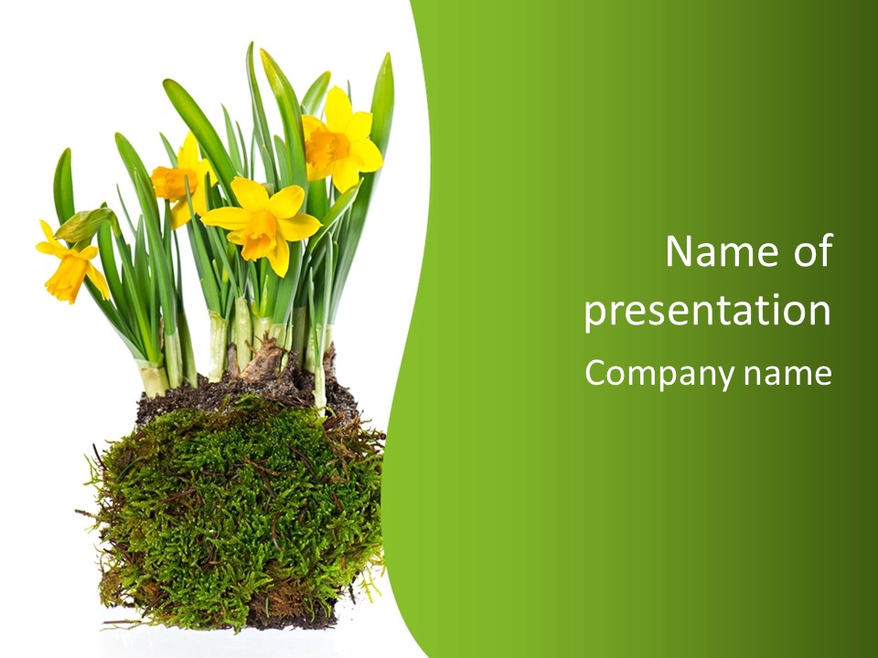 Flower Freshness Colorful PowerPoint Template