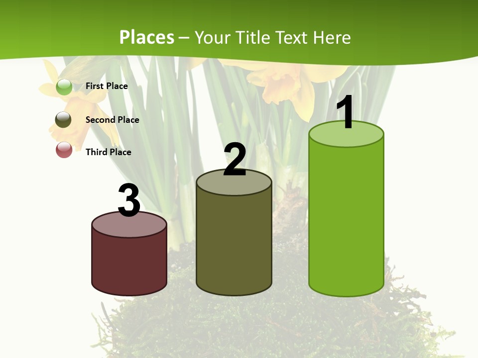 Flower Freshness Colorful PowerPoint Template