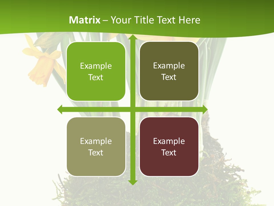 Flower Freshness Colorful PowerPoint Template