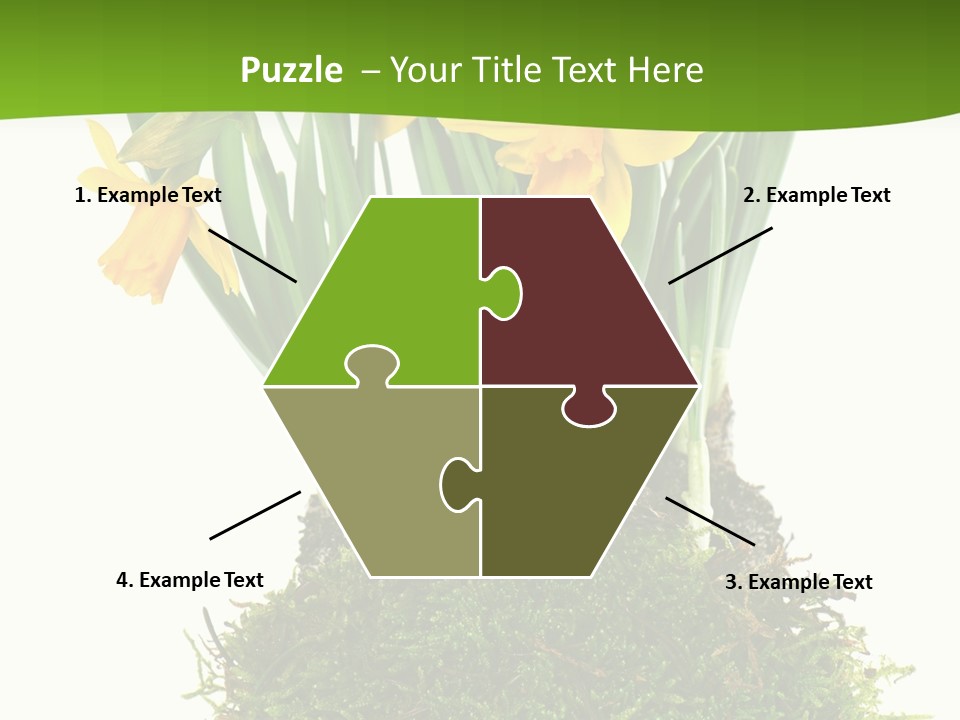 Flower Freshness Colorful PowerPoint Template