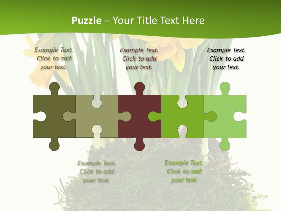 Flower Freshness Colorful PowerPoint Template