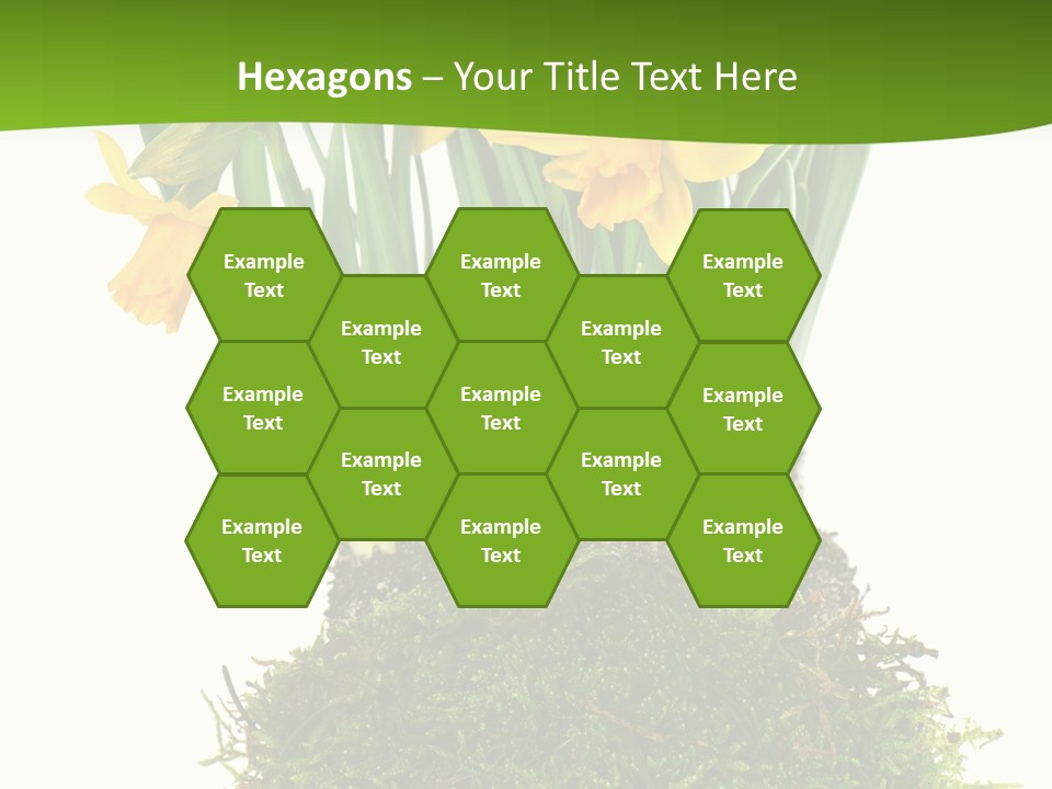 Flower Freshness Colorful PowerPoint Template