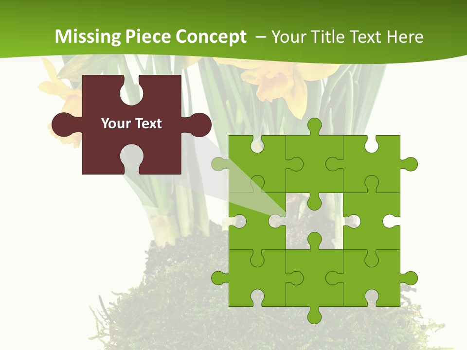 Flower Freshness Colorful PowerPoint Template