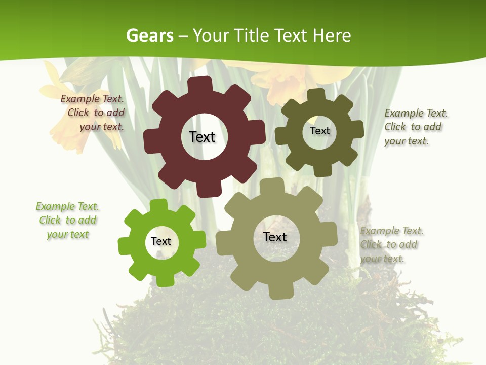 Flower Freshness Colorful PowerPoint Template