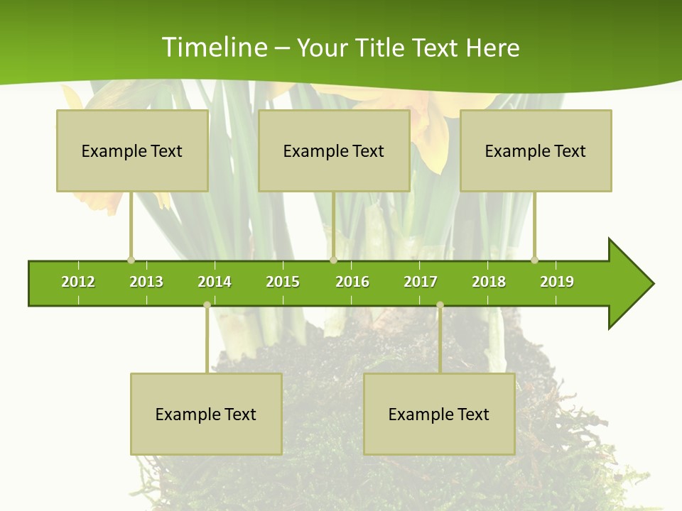 Flower Freshness Colorful PowerPoint Template