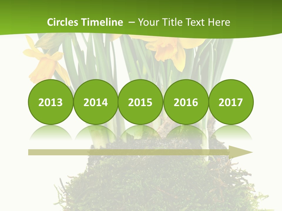 Flower Freshness Colorful PowerPoint Template