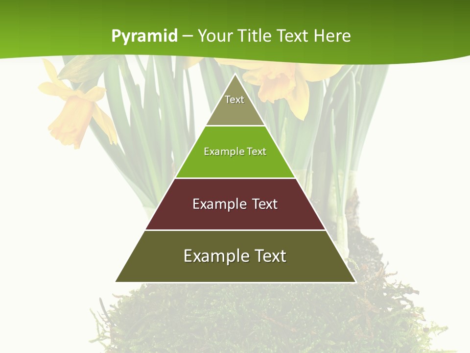 Flower Freshness Colorful PowerPoint Template