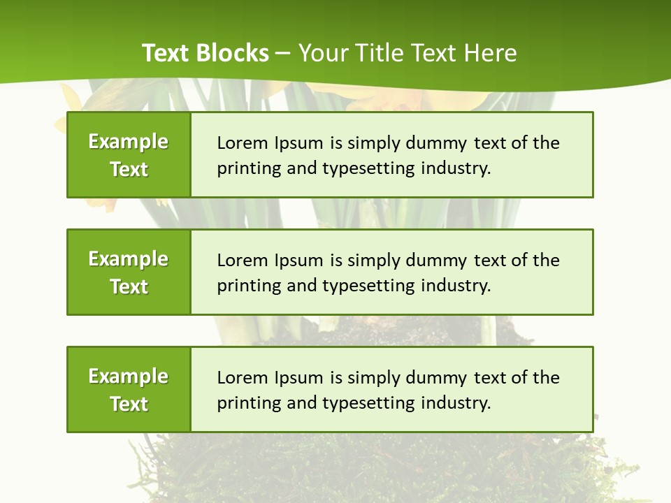 Flower Freshness Colorful PowerPoint Template