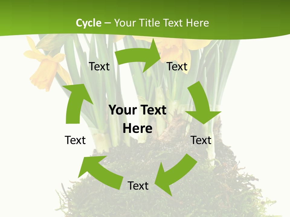 Flower Freshness Colorful PowerPoint Template