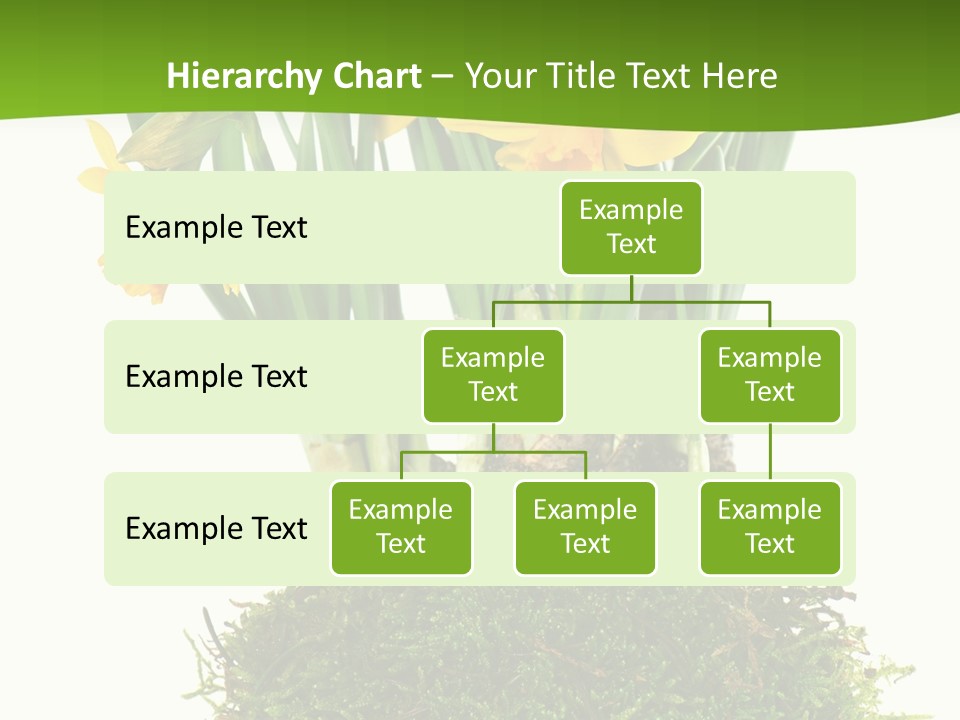 Flower Freshness Colorful PowerPoint Template