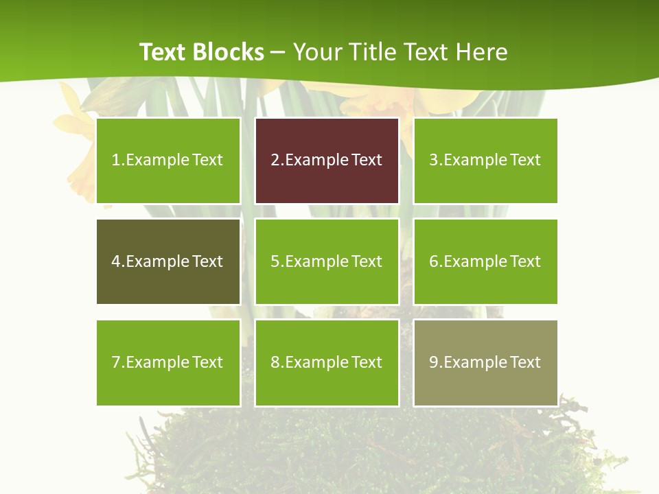 Flower Freshness Colorful PowerPoint Template