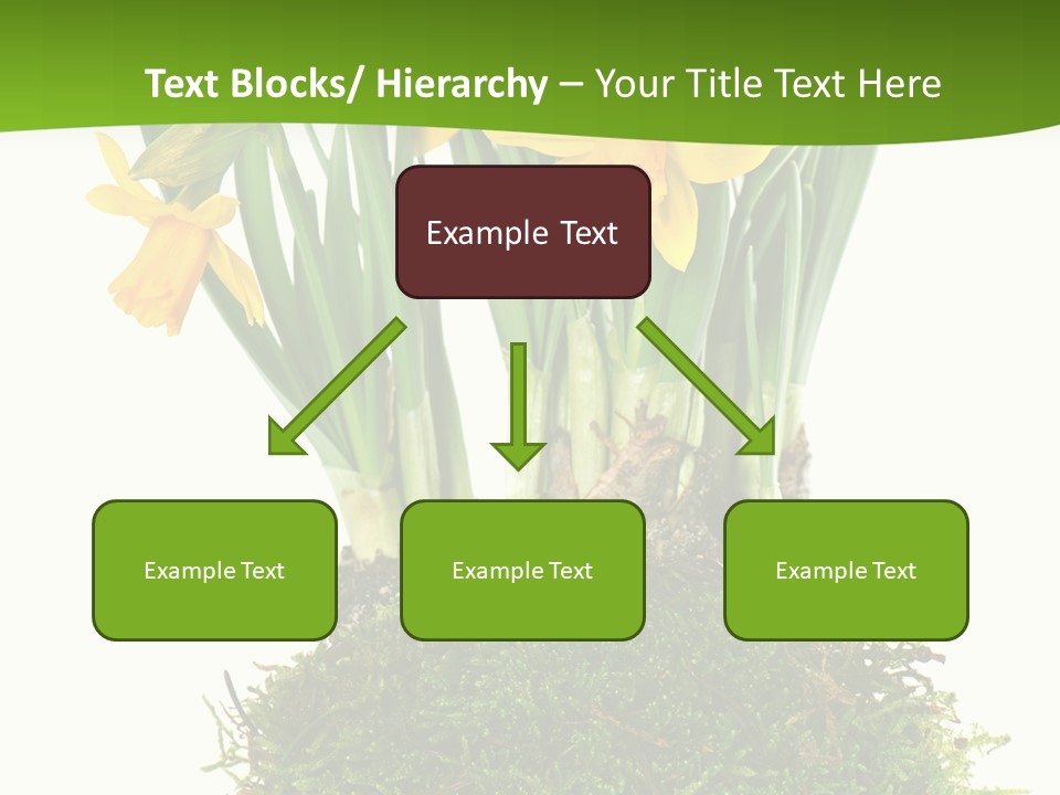 Flower Freshness Colorful PowerPoint Template