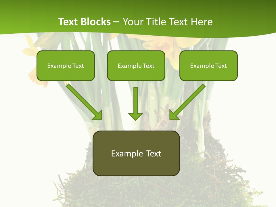 Flower Freshness Colorful PowerPoint Template