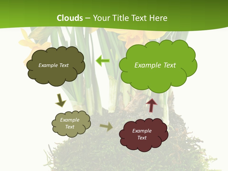 Flower Freshness Colorful PowerPoint Template