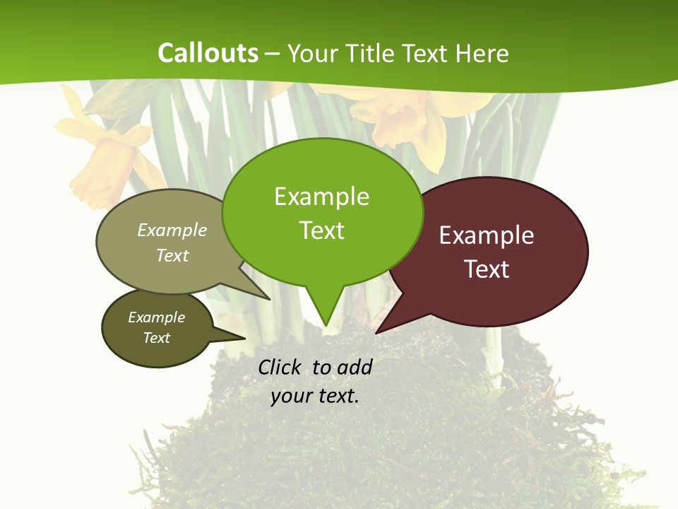 Flower Freshness Colorful PowerPoint Template