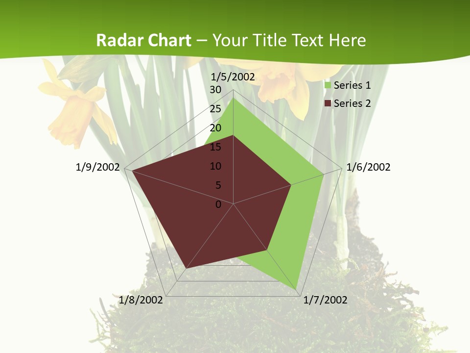 Flower Freshness Colorful PowerPoint Template