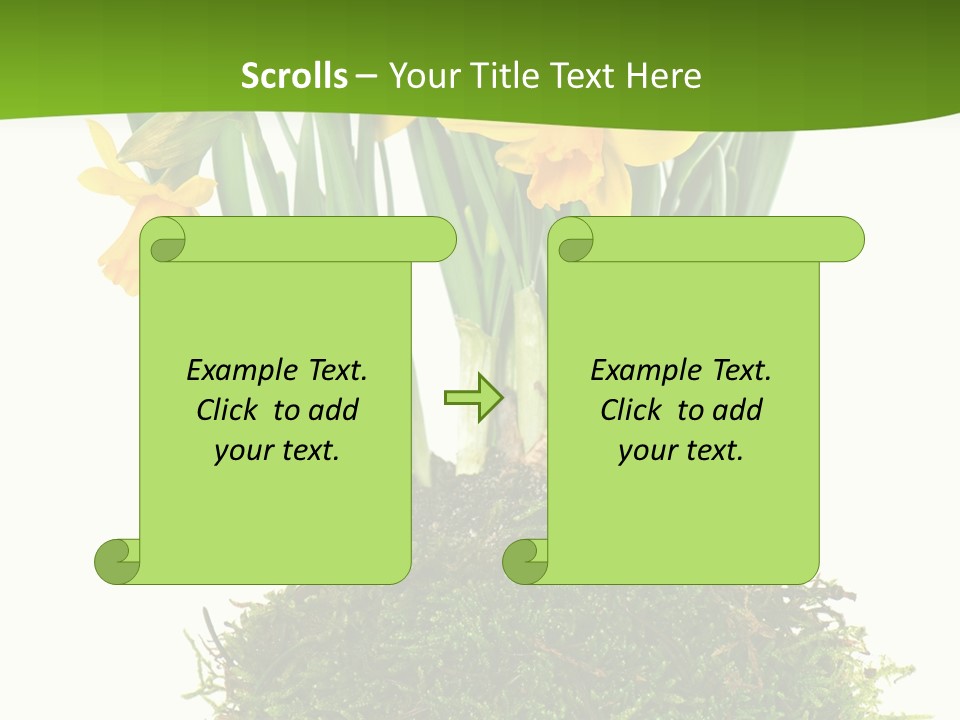 Flower Freshness Colorful PowerPoint Template